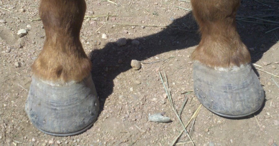 2012-04-05_13-49-05_669-1840889156.jpg