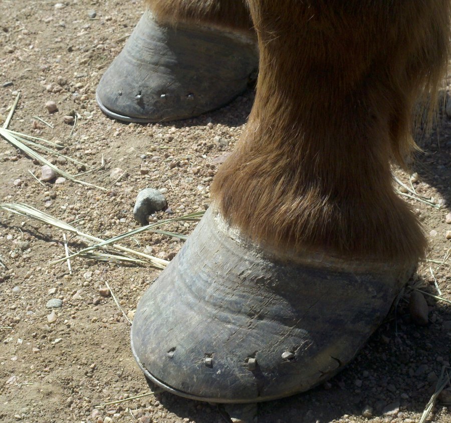2012-04-05_13-49-17_896-1585859166.jpg