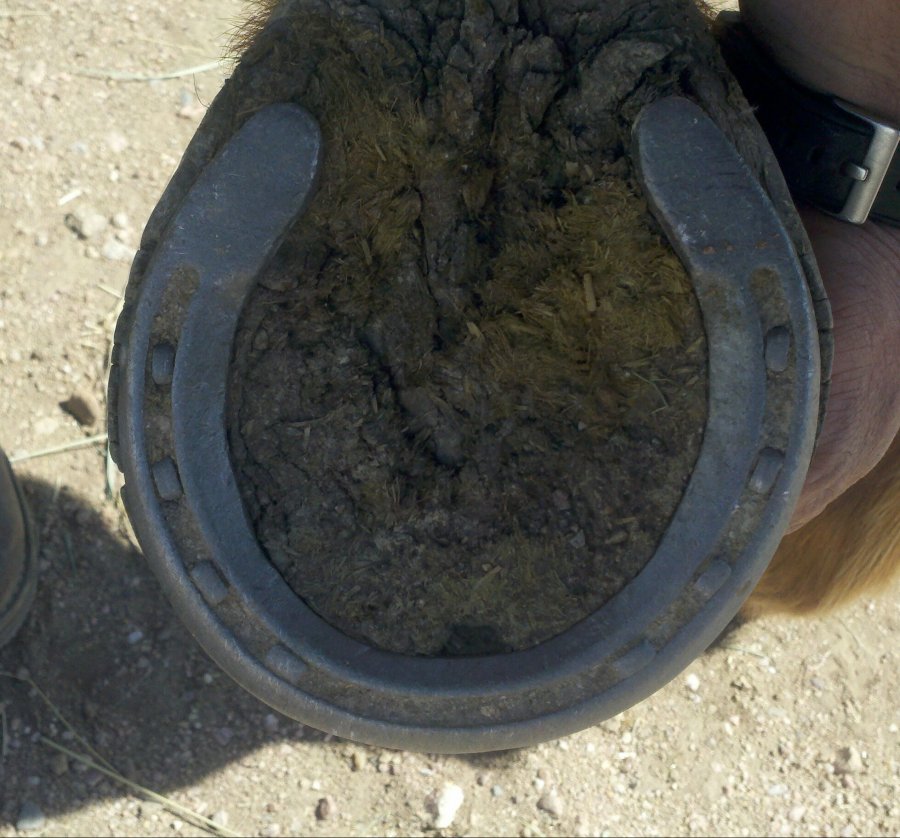 2012-04-05_13-49-28_473-1-106410253.jpg