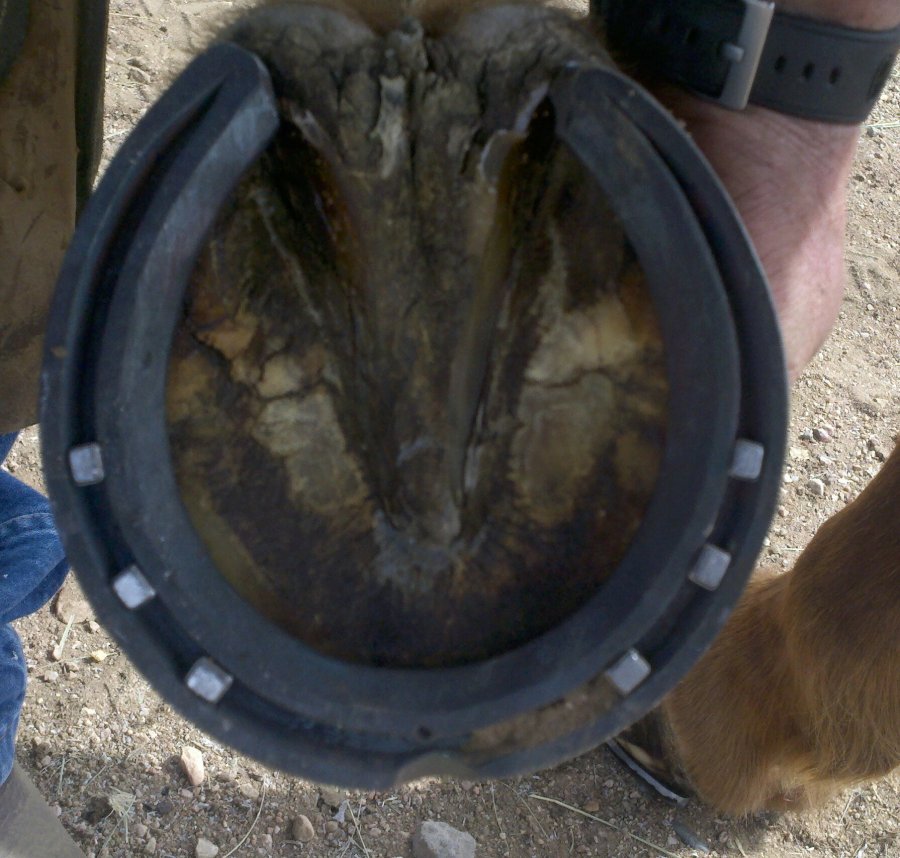 2012-04-05_14-42-27_877-11457206511.jpg