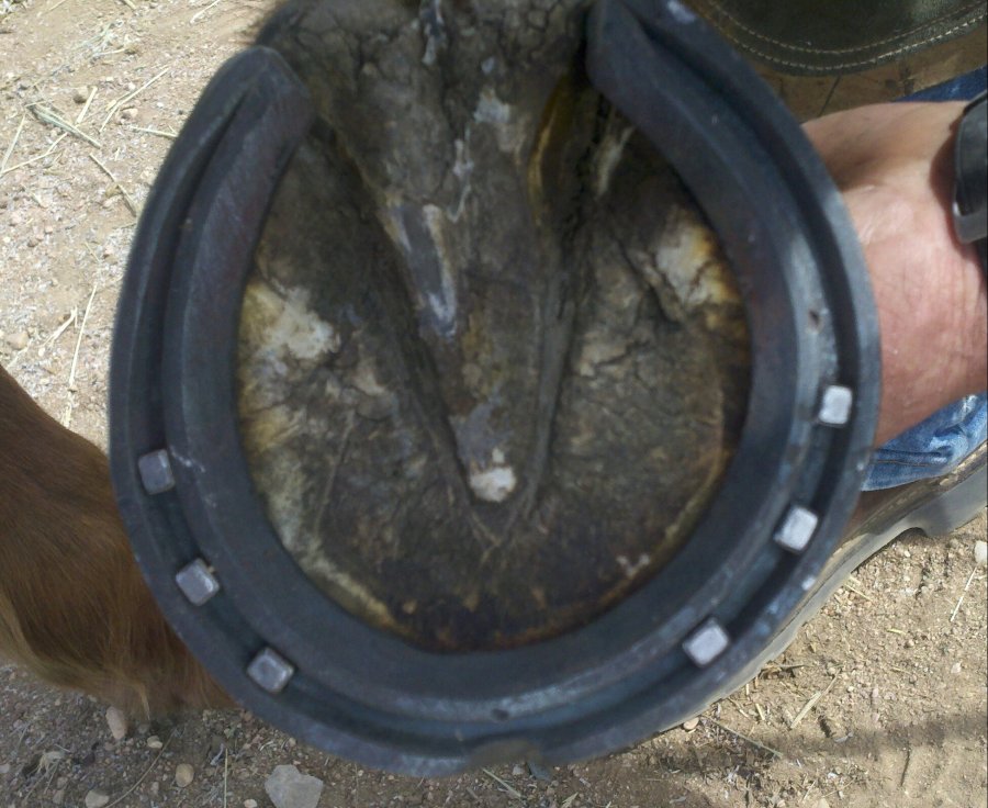 2012-04-05_14-42-51_85-1-1728463999.jpg