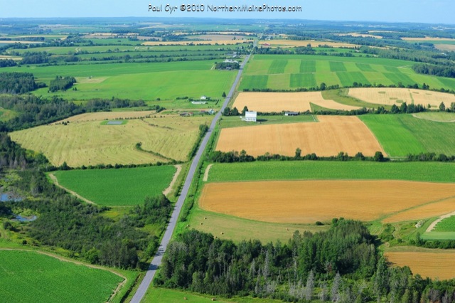 areal view.jpg