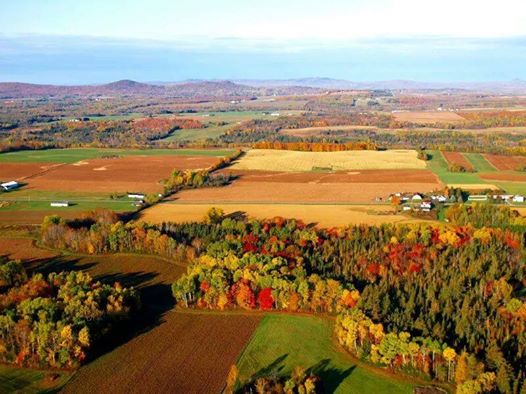 Aroostook couinty - fall.jpg