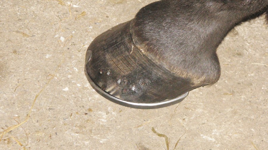 cassy 5.JPG