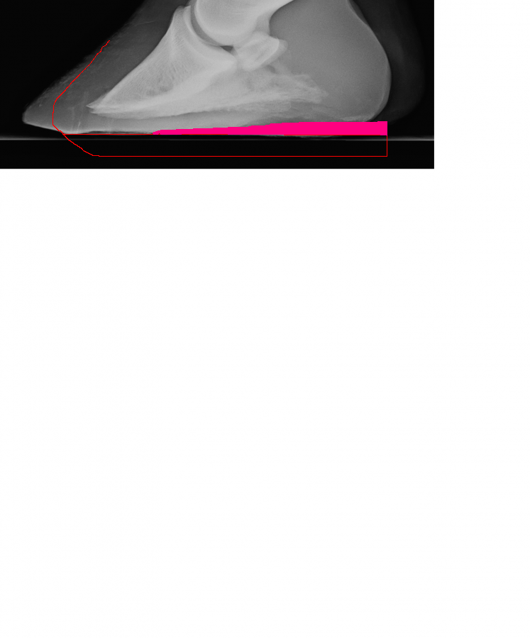 Poco LF 1.PNG