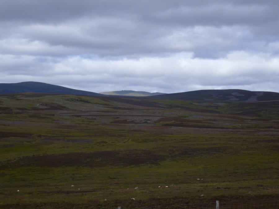 S7001298.JPG