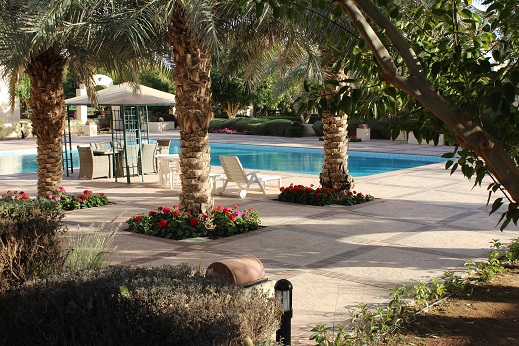 view from patio.jpg