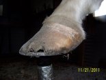 100_3299.JPG